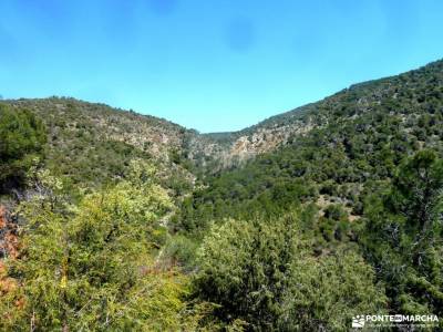 Cebreros-La Merina-Río Alberche;ruidera valle de pineta picos de urbion cabo de peñas